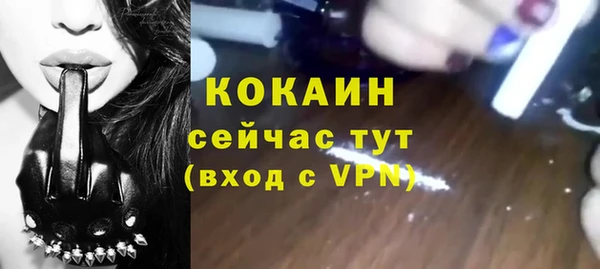 сатива Кодинск
