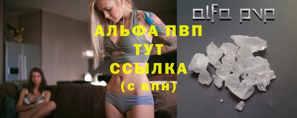 стафф Киренск