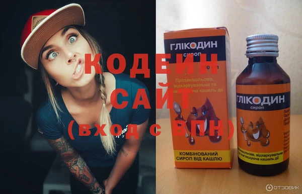 сатива Кодинск