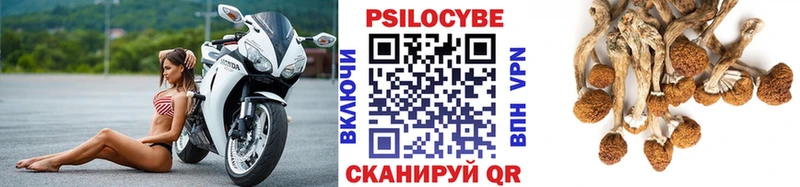Купить Геленджик Галлюциногенные грибы прущие грибы